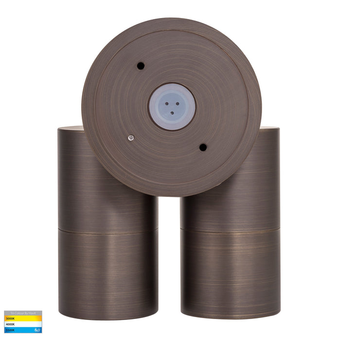 HV1395T-HV1397T - Tivah Antique Brass TRI Colour Double Adjustable Wall Pillar Lights