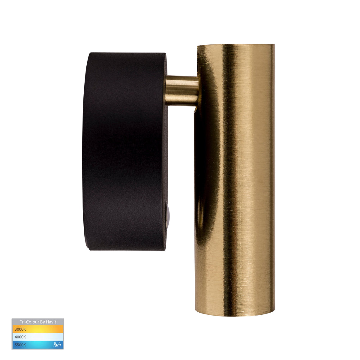 HV3689T-BLKBR - Lesen Black Brass Single Adjustable Wall Light