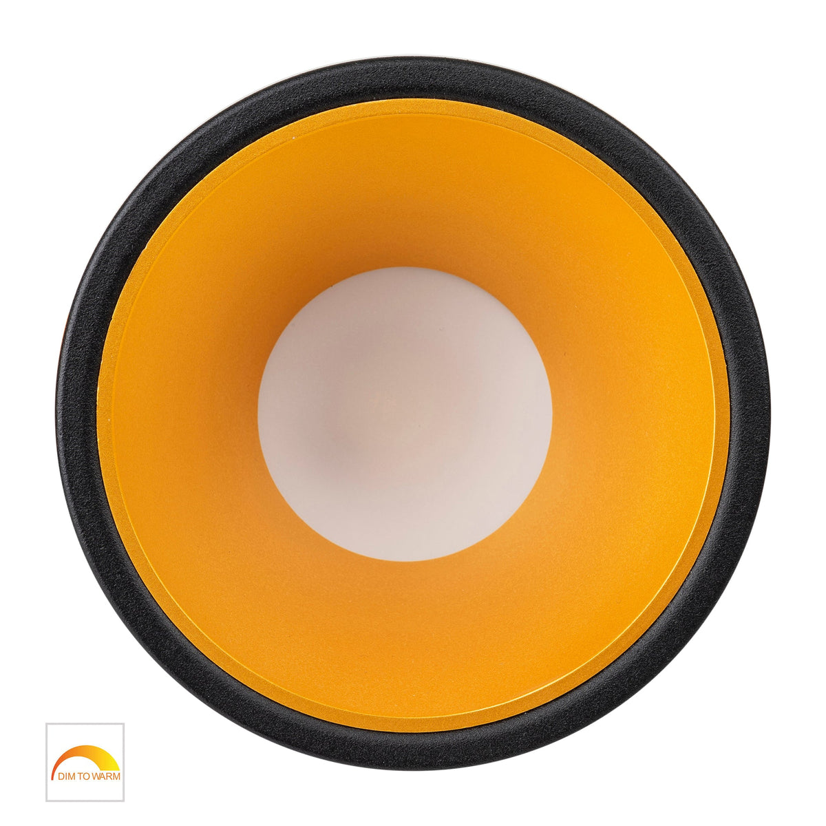 HV5528D2W-BG - Gleam Black with Gold Insert Fixed Dim to Warm LED Downlight