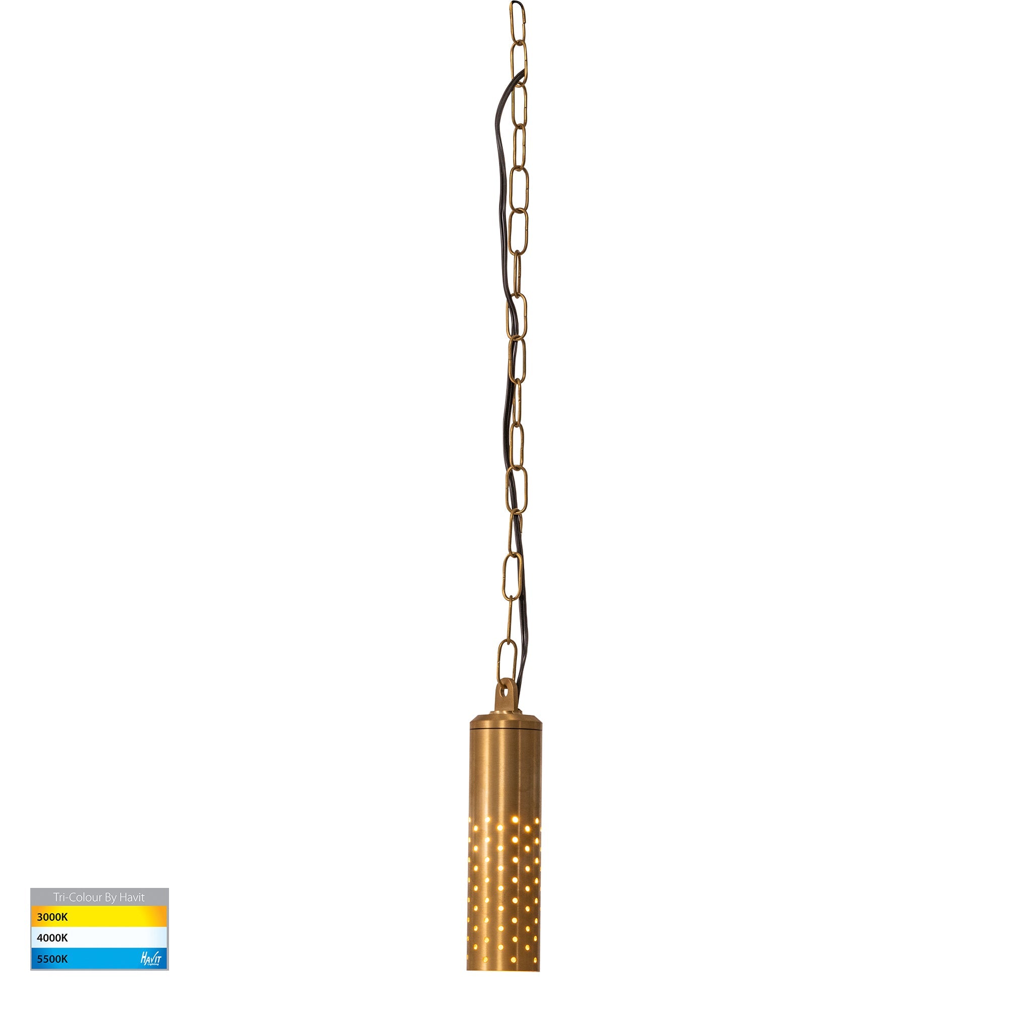 HV5901T-BR-240V | HV5901T-BR-12V - Willow Solid Brass LED Pendant