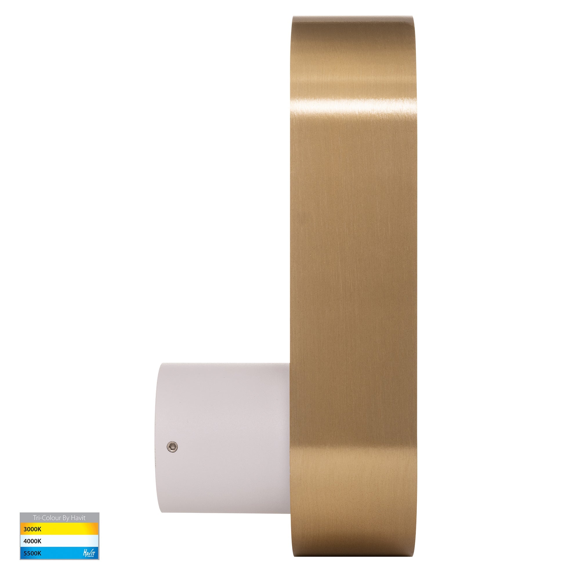 HV8080T-WHTBR - Ovale White + Brass Wall Light