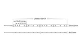HV9741-IP20-60-5K - 4.8w 24v DC IP20 Long Run LED Strip 5500k