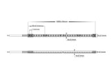 HV9791-IP67-140-3K - 9.6w IP67 24v DC HaviFlex Side Bend Flexible Neon LED Strip 3000k