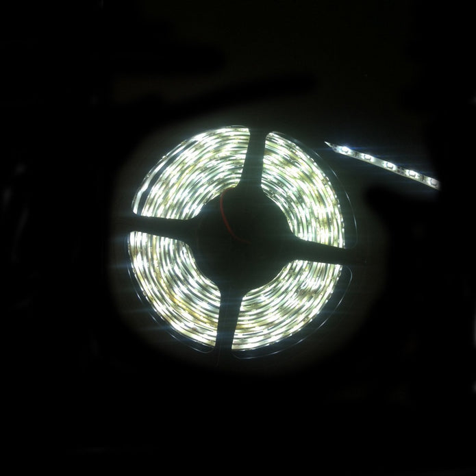 LED IP65 Strip Light 5m Cool White 3528 - LEDIP65CW3528