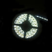 LED IP65 Strip Light 5m Cool White 3528 - LEDIP65CW3528
