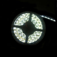 Thumbnail for LED IP65 Strip Light 5m Pure White 3528 - LEDIP65PW3528