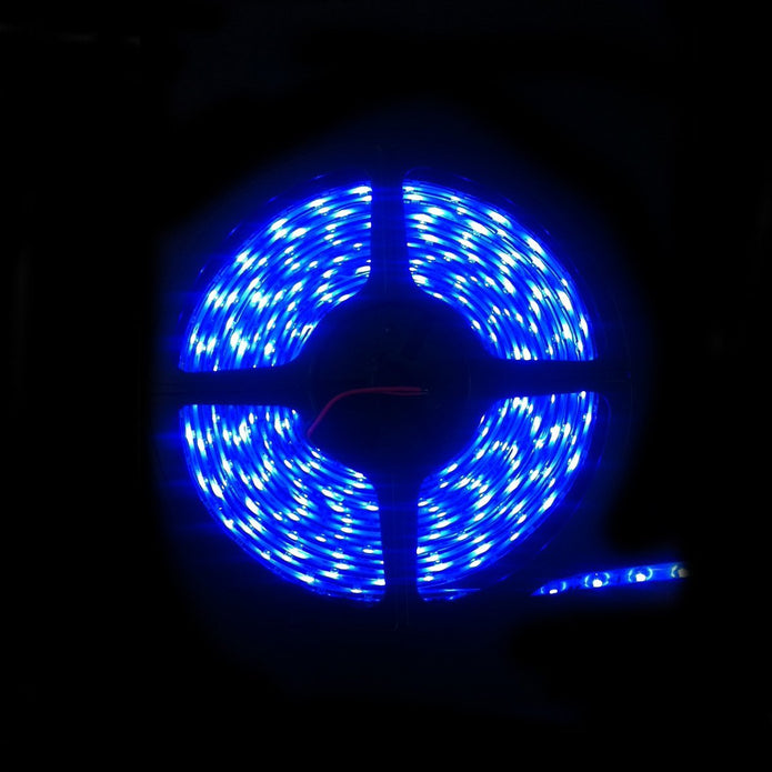 LED IP68 Strip Light 5m Blue 3528 - LEDIP68BLUE3528