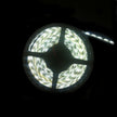 LED IP68 Strip Light 5m Pure White 3528 - LEDIP68PW3528