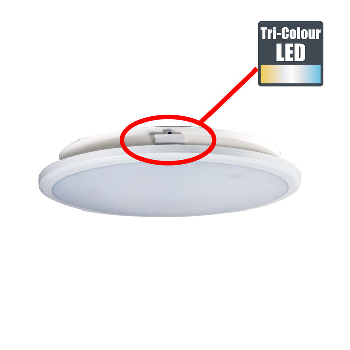 Omar 30 White 24W CCT IP54 Double Insulated Ceiling Light