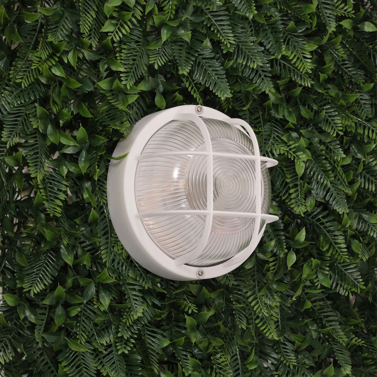 Rund White Acrylic & Clear Glass E27 IP54 Outdoor Bunker