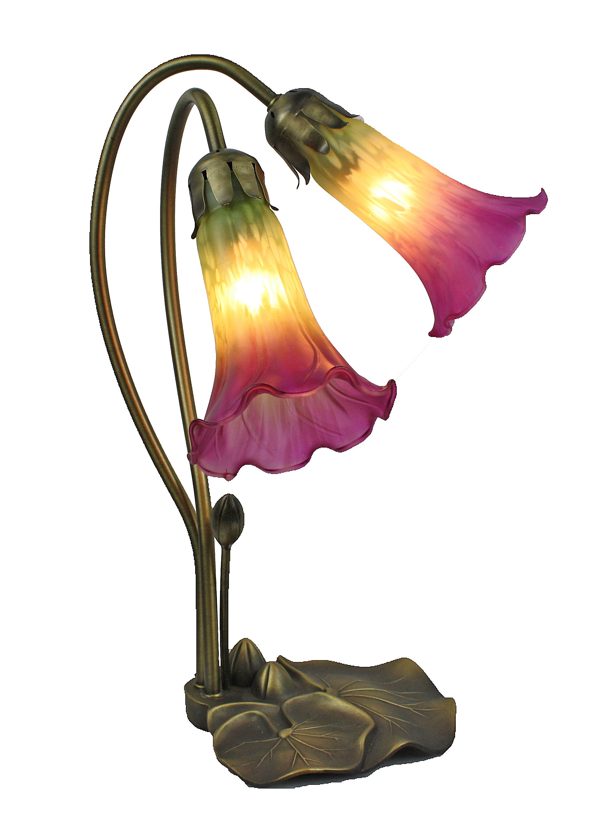 Double branch downward lily lamp