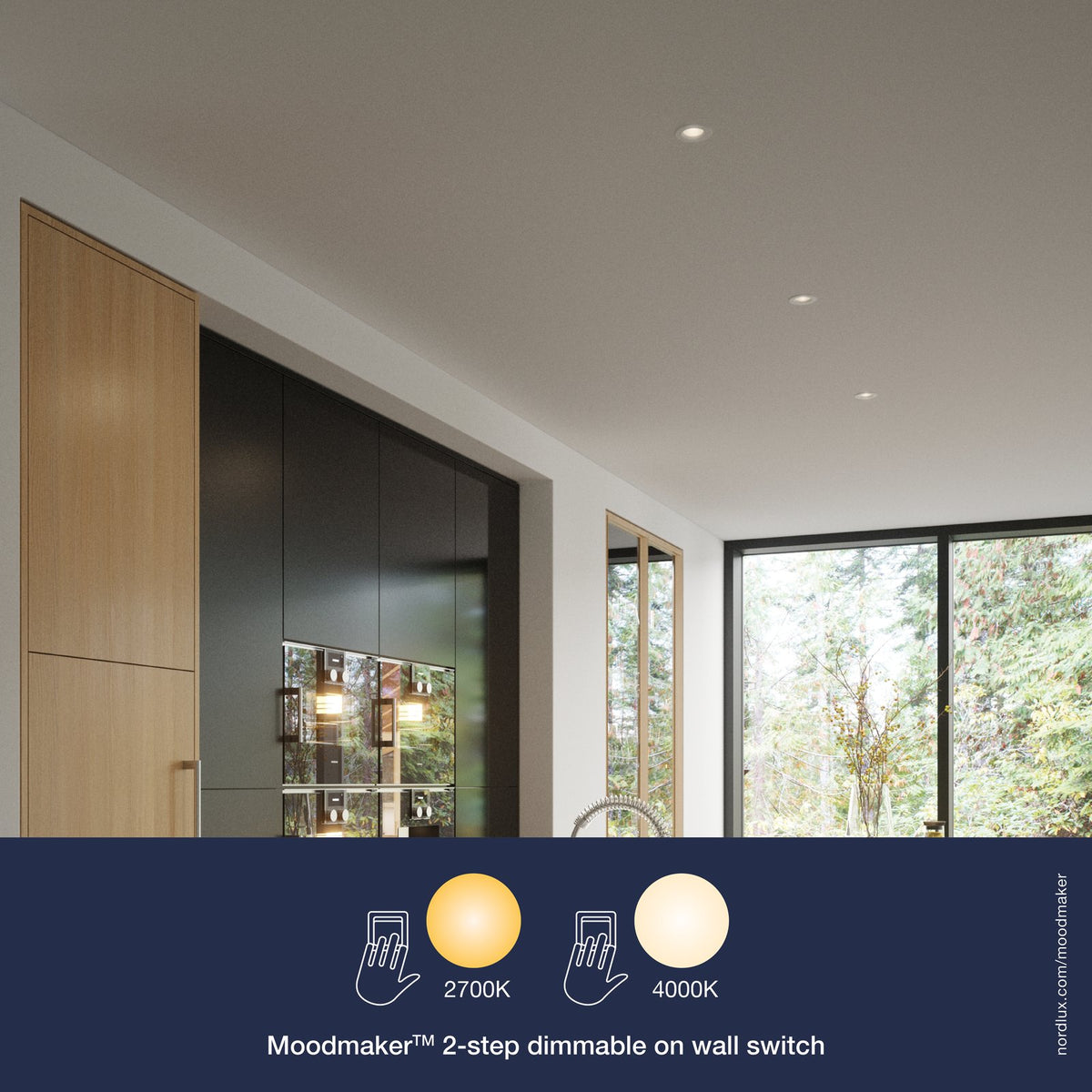 Tiaki 2700/ Moodmaker White LED Downlight