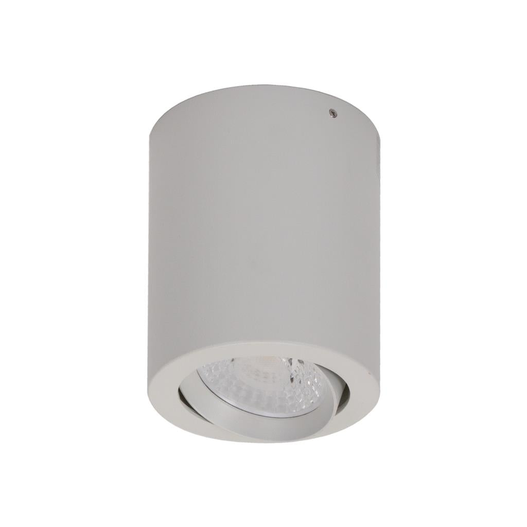 neo 10 surface mounted tiltable led downlight satin white