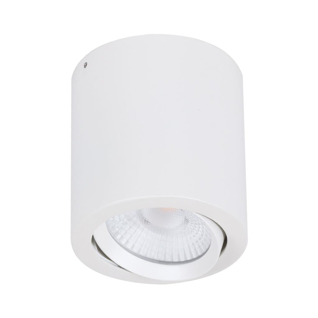 neo 20 surface mounted tiltable downlight satin white