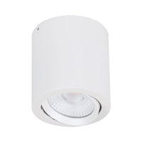 Thumbnail for neo 20 surface mounted tiltable downlight satin white