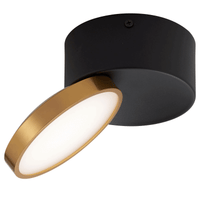 Thumbnail for NETRA TILT SURFACE LED DOWNLIGHT - 3CCT