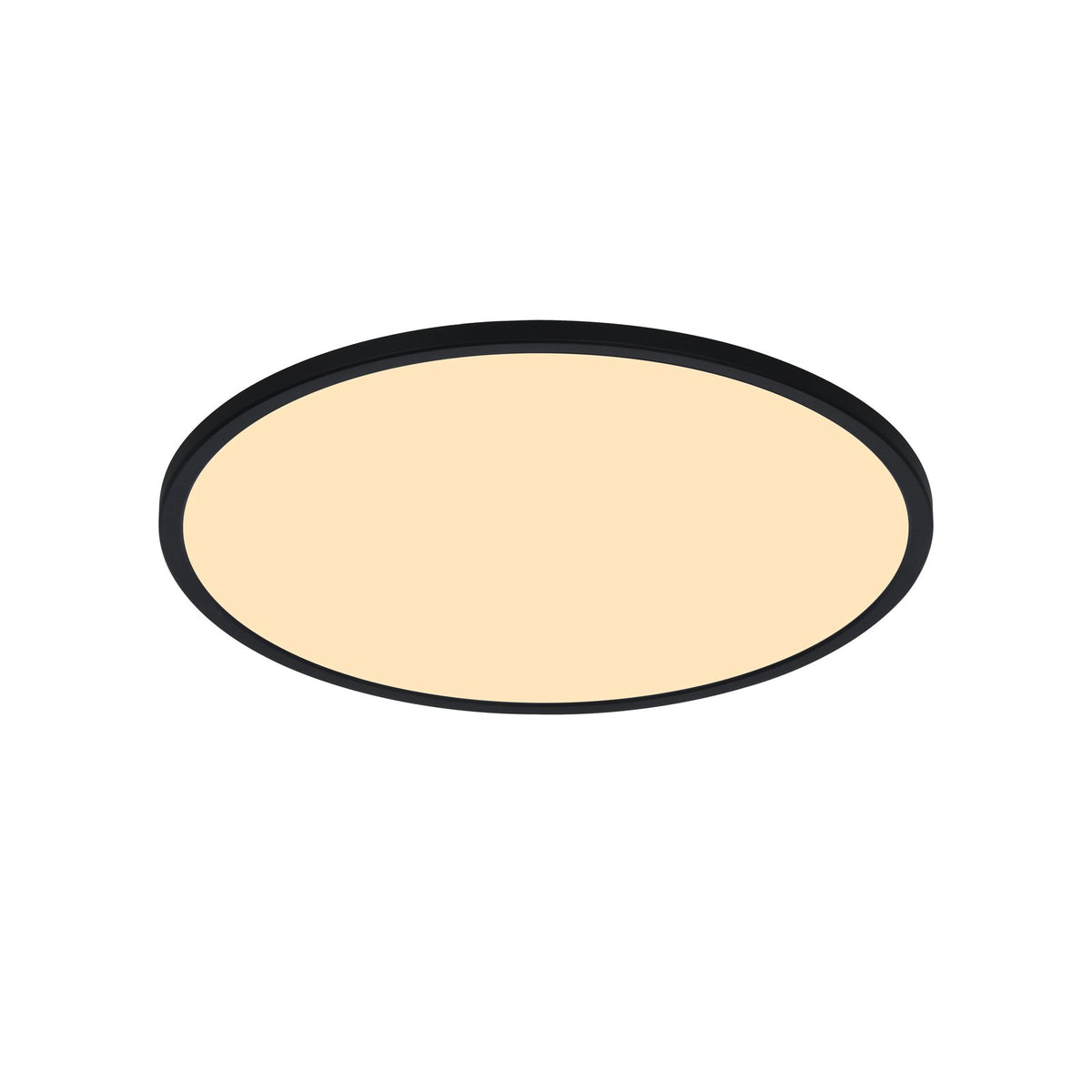 Oja 29 Outdoor Round Ceiling Light Black