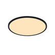 Oja 29 Outdoor Round Ceiling Light Black
