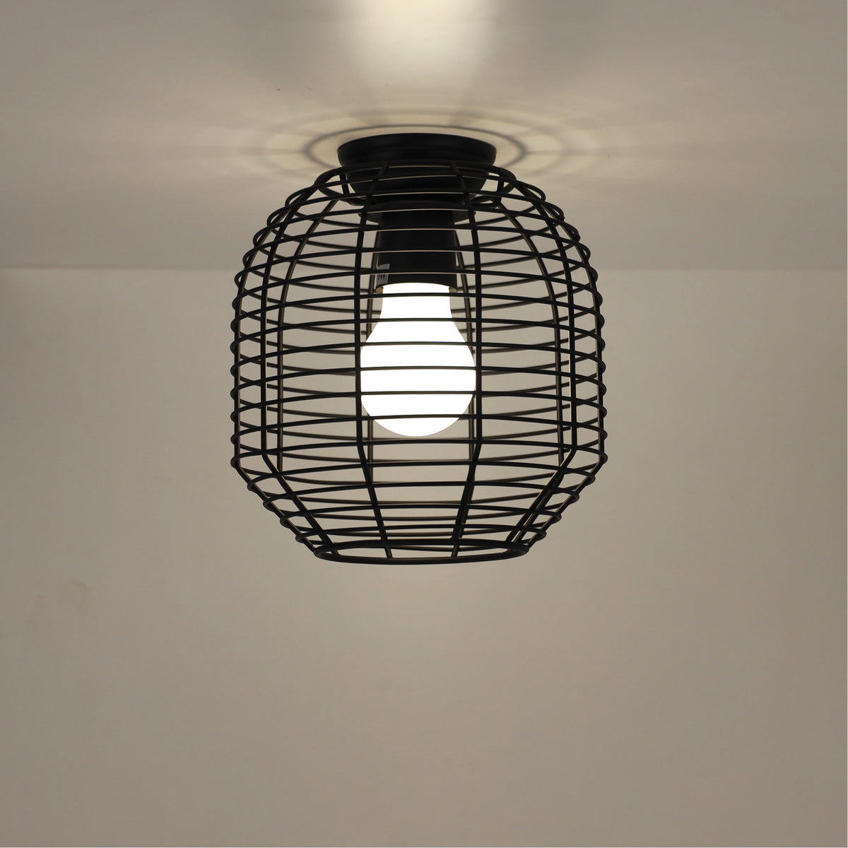 Eve 18 Black Wire Retro Industrial DIY Shade