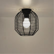 Eve 18 Black Wire Retro Industrial DIY Shade