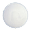 Remo 40 Alabaster Glass Oyster With White Clips Twin E27