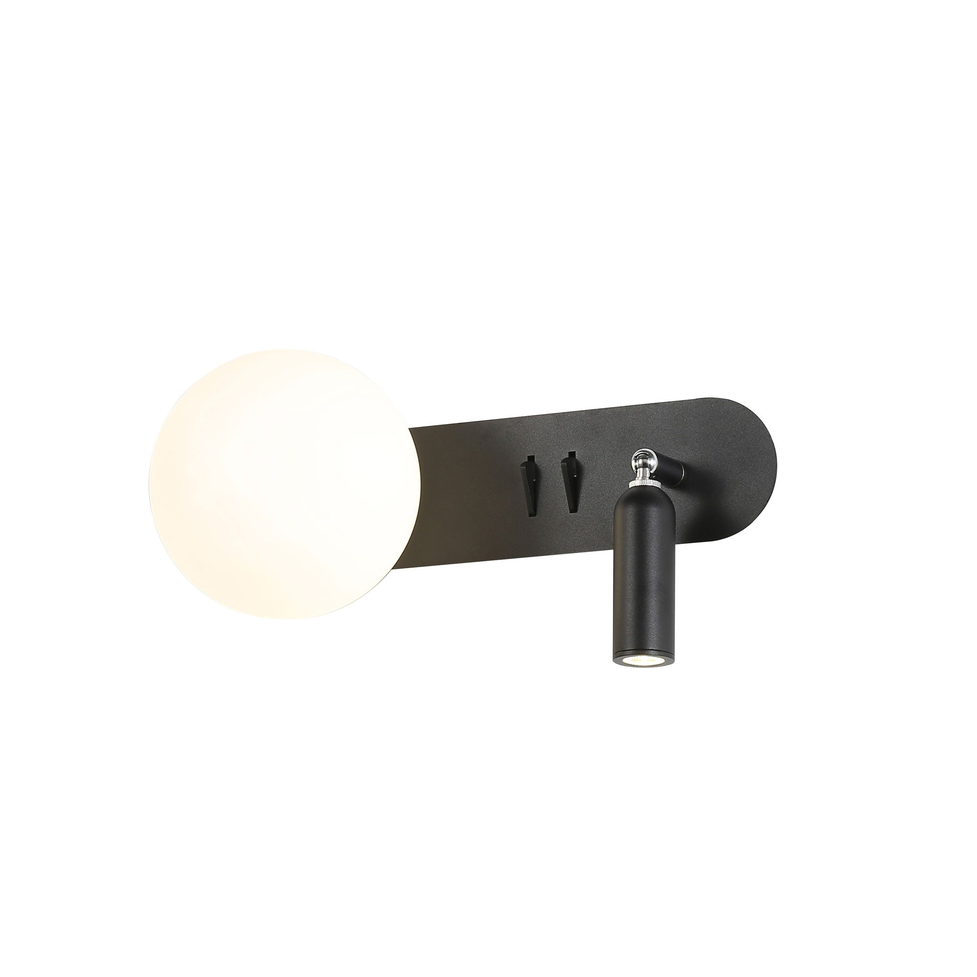 Harlow Black Dual Purpose Wall & Spot Light