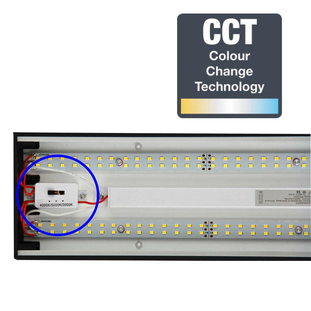 Vana.120 Black 40W CCT LED Surface Mount Ceiling Light/ Pendant Light