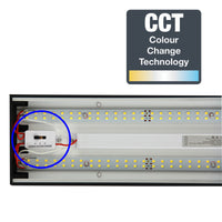 Thumbnail for Vana.150 Black 50W CCT LED Surface Mount Ceiling Light/ Pendant Light