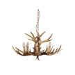 Hyort 6 Light KD Version Designer Pendant