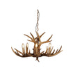 Hyort 6 Natural Brown 6 Light Deer Antler Designer Pendant