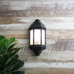 Fenchurch Black E27 IP44 Traditional Outdoor Wall light