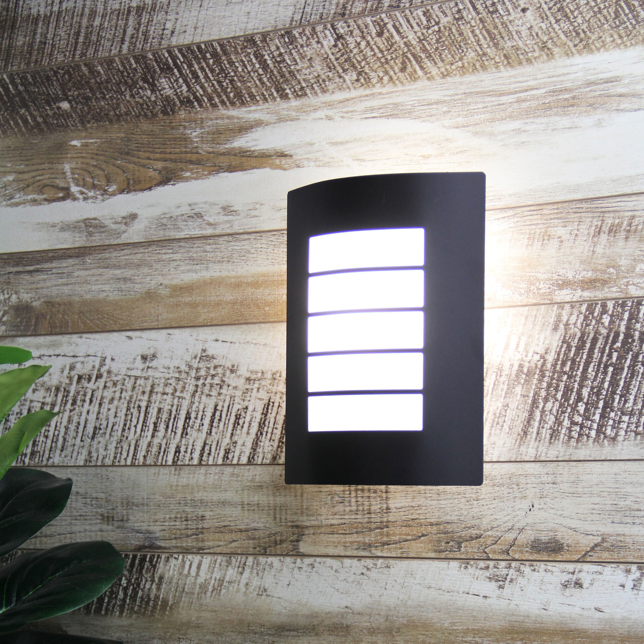 Cheeta Black E27 IP44 Wall Light