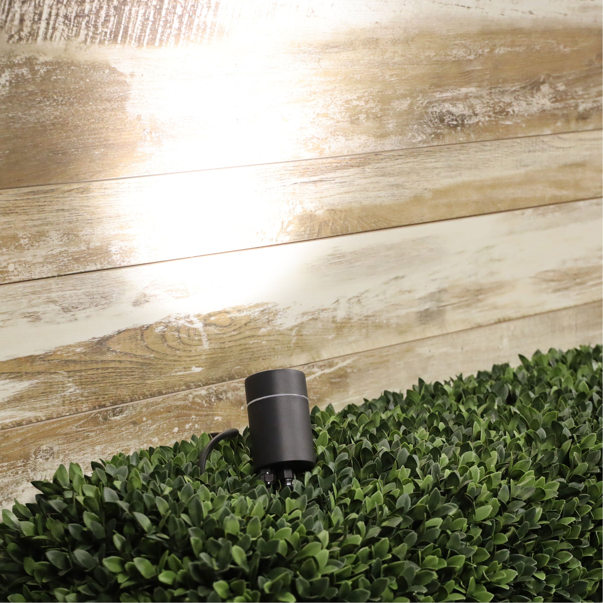 Accent Black 12V IP44 DIY Garden Spike Light