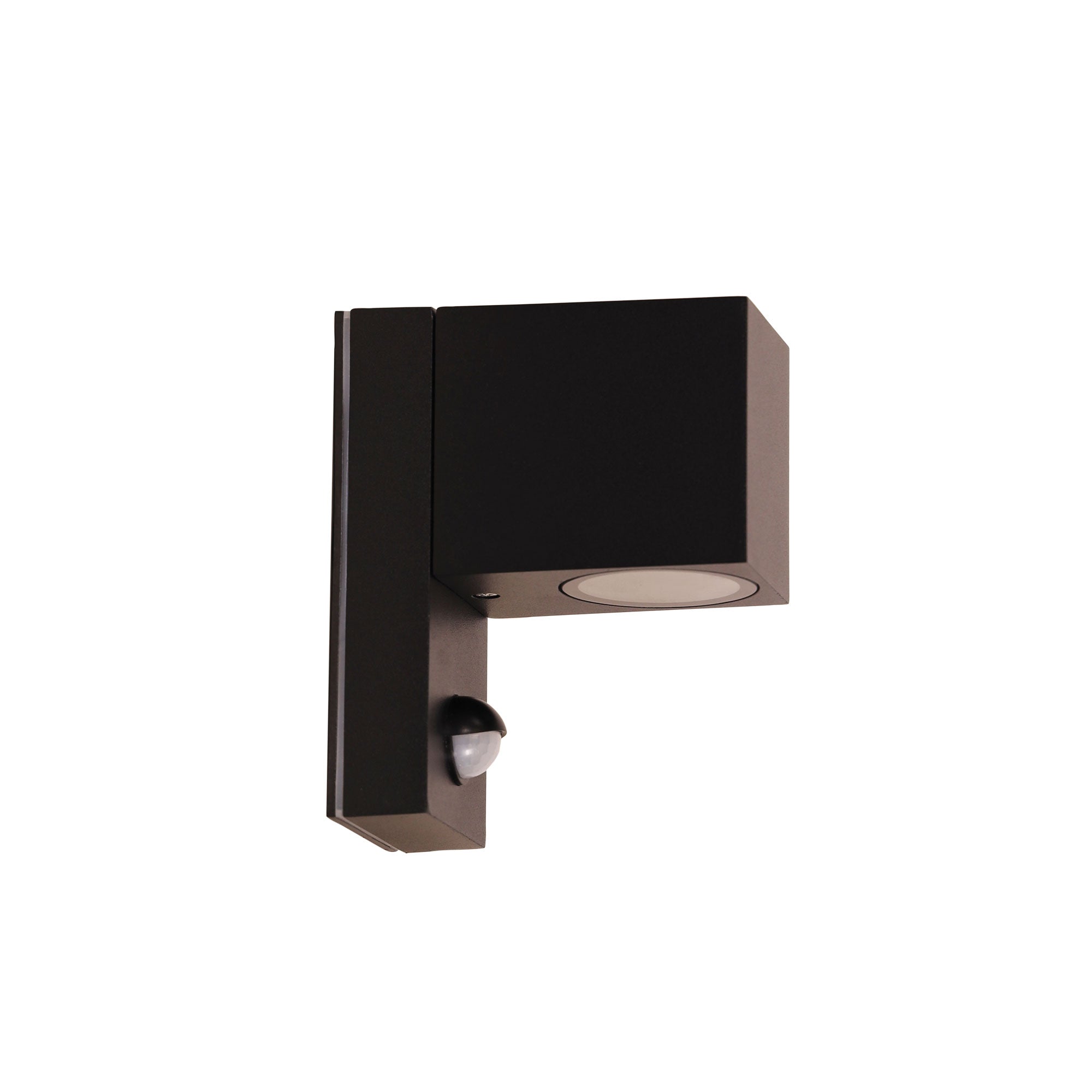 Atlas Sensor Black Outdoor Sensor Light