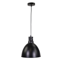 Thumbnail for Dawson White Pendant Light