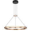 OSTROM 65 PENDANT LIGHT