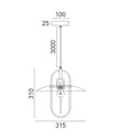 PAPILLON: Interior Oblong Iron with Glass Coolie Pendant Lights