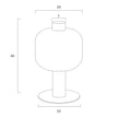 Parola Nickel/Clear or Gold/Smoke Table Lamp