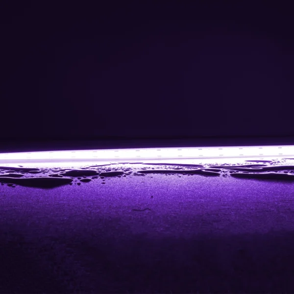 Plex-Vivid 15W P/M COB Strip 24V IP67 640LED/M 1M - Purple