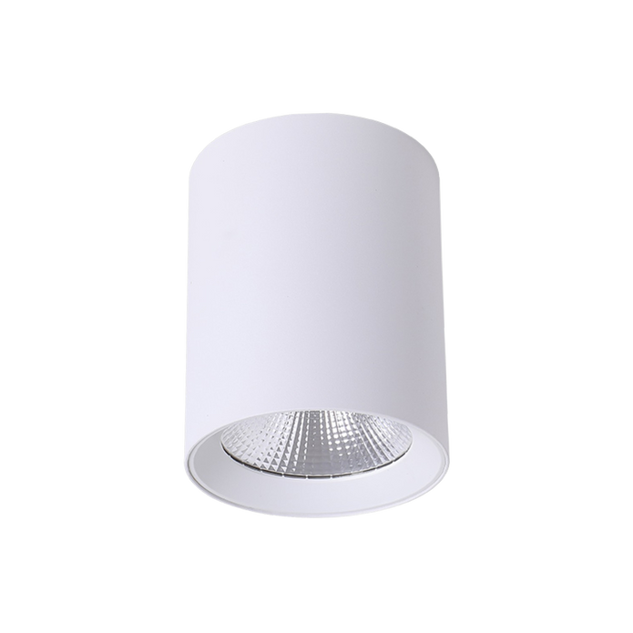 Paco 15W 120mm dia Tricolour LED Surface Mounted Downlight White