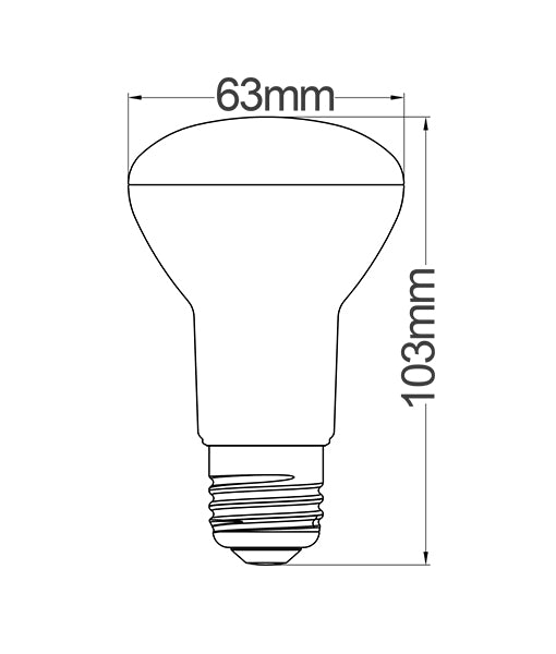 R63 & R80 LED Globes