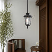 Ramiro 20 Pendant