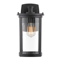 Thumbnail for Reese Large IP44 Exterior Wall Light in Black