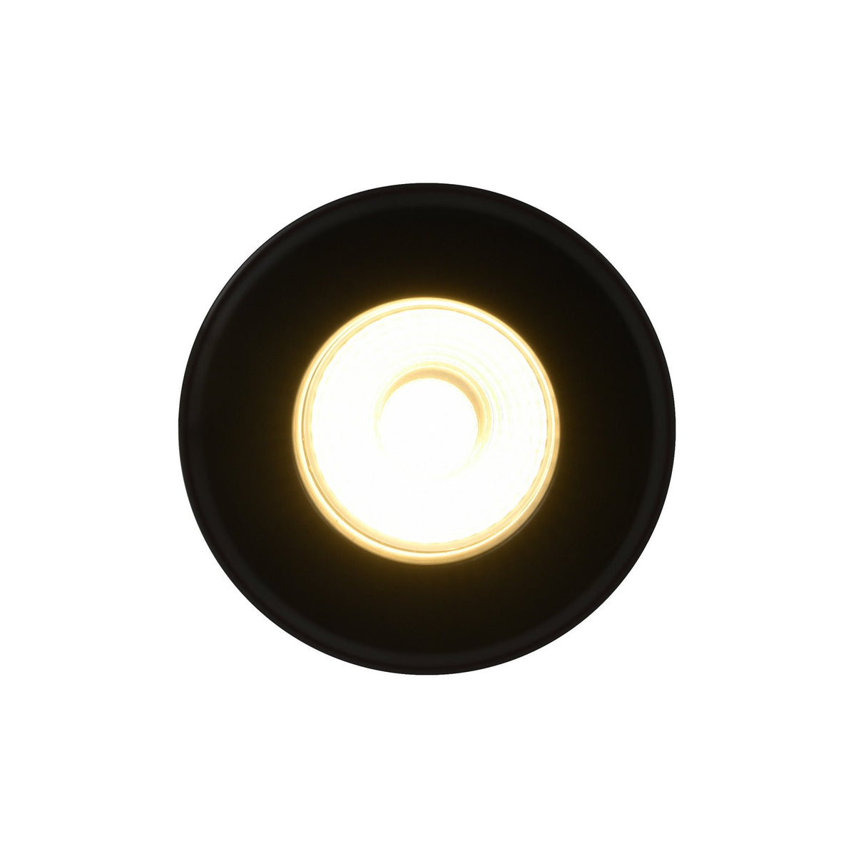 Rosalee LED Downlight