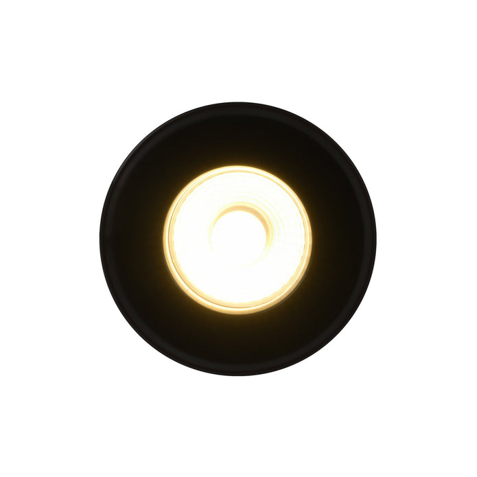 Rosalee LED Downlight