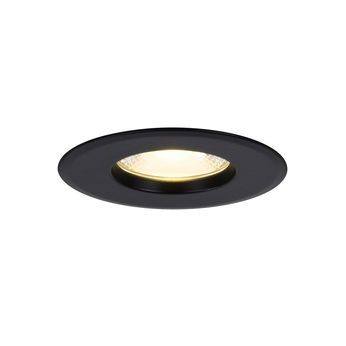 Rosalee LED Downlight