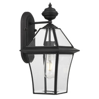 Thumbnail for Rye Small IP44 Exterior Wall Light in Black