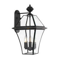 Thumbnail for Rye Large IP44 Exterior Wall Light in Black