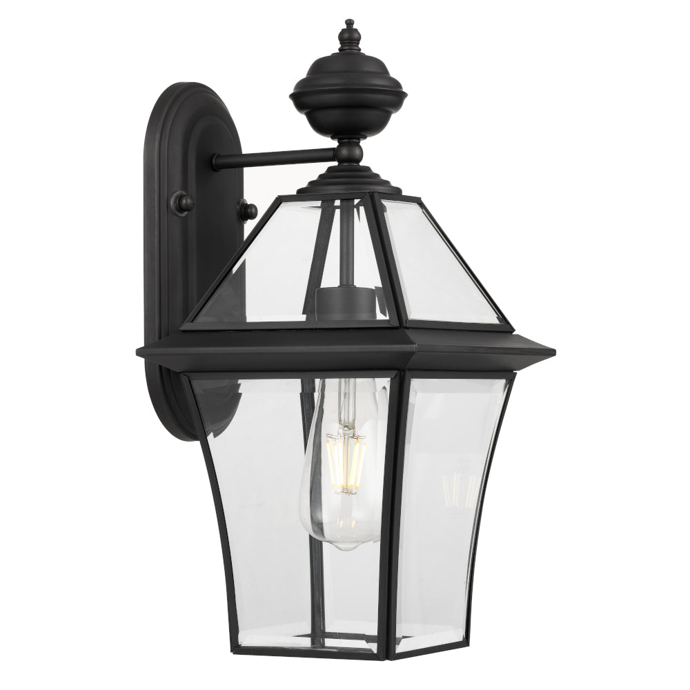 Rye 20 Brass or Black IP43 Exterior Wall Light