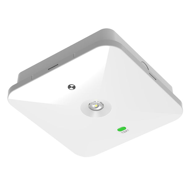 Surface Mount Square Emergency Downlight 240V D80 IP65 White